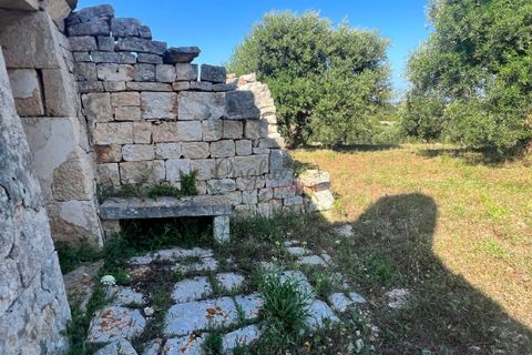 Landejendom i Cisternino, Brindisi, Cisternino - € 135.000 | Ref: 233 - foto 15