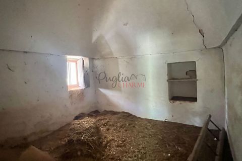 Landejendom i Cisternino, Brindisi, Cisternino - € 135.000 | Ref: 233 - foto 16