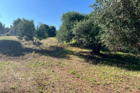 Landejendom i Cisternino, Brindisi, Cisternino - € 135.000 | Ref: 233 - foto 5