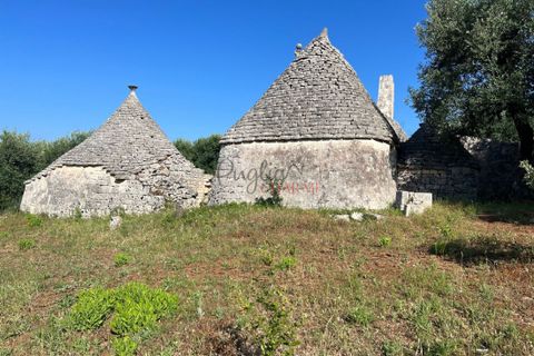 Landejendom i Cisternino, Brindisi, Cisternino - € 135.000 | Ref: 233 - foto 28