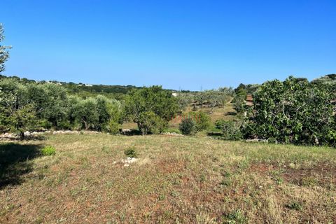 Landejendom i Cisternino, Brindisi, Cisternino - € 135.000 | Ref: 233 - foto 2