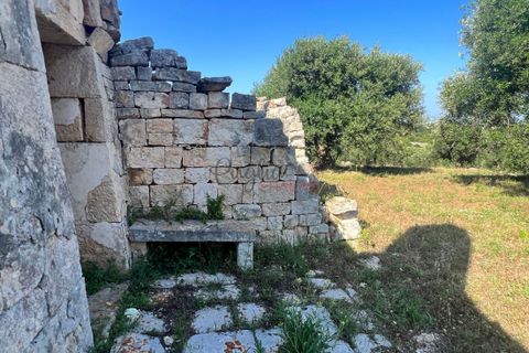 Landejendom i Cisternino, Brindisi, Cisternino - € 135.000 | Ref: 233 - foto 7