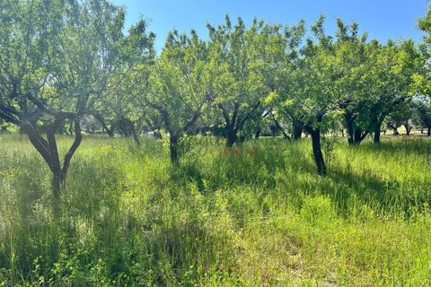 Landejendom i Ostuni, Brindisi, Ostuni - € 50.000 | Ref: 234 - foto 2