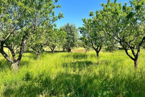 Landejendom i Ostuni, Brindisi, Ostuni - € 50.000 | Ref: 234 - foto 5