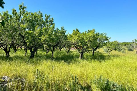 Landejendom i Ostuni, Brindisi, Ostuni - € 50.000 | Ref: 234 - foto 6