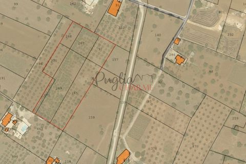 Landejendom i Ostuni, Brindisi, Ostuni - € 50.000 | Ref: 234 - foto 8