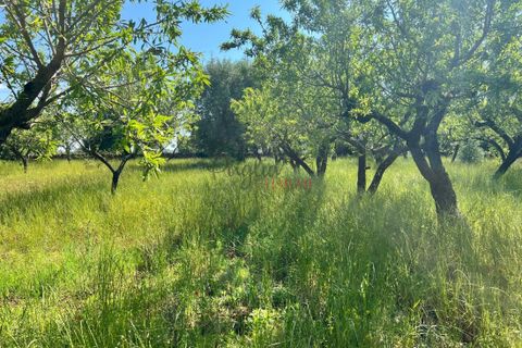 Landejendom i Ostuni, Brindisi, Ostuni - € 50.000 | Ref: 234 - foto 4