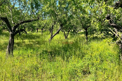 Landejendom i Ostuni, Brindisi, Ostuni - € 50.000 | Ref: 234 - foto 3