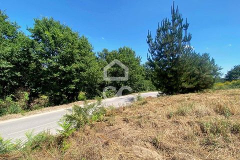 Helårsgrund i Viseu, Viseu, Viseu - € 180.000 | Ref: 353/T/02328 - foto 4