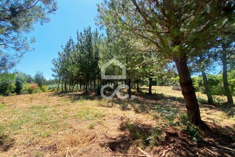 Helårsgrund i Viseu, Viseu, Viseu - € 180.000 | Ref: 353/T/02328 - foto 9