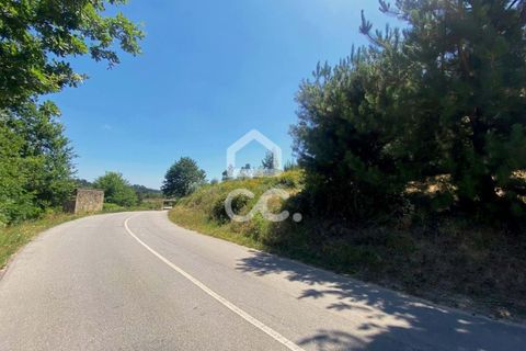 Helårsgrund i Viseu, Viseu, Viseu - € 180.000 | Ref: 353/T/02328 - foto 13