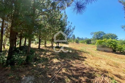 Helårsgrund i Viseu, Viseu, Viseu - € 180.000 | Ref: 353/T/02328 - foto 10