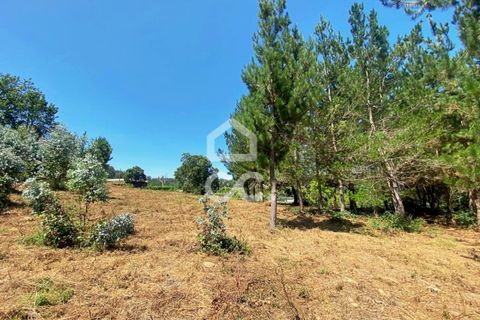 Helårsgrund i Viseu, Viseu, Viseu - € 180.000 | Ref: 353/T/02328 - foto 12