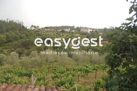 Villa a Abrantes, Santarem, Abrantes - € 41.000 | Ref: TM92866 - foto 3