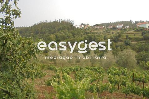 Villa a Abrantes, Santarem, Abrantes - € 41.000 | Ref: TM92866 - foto 5