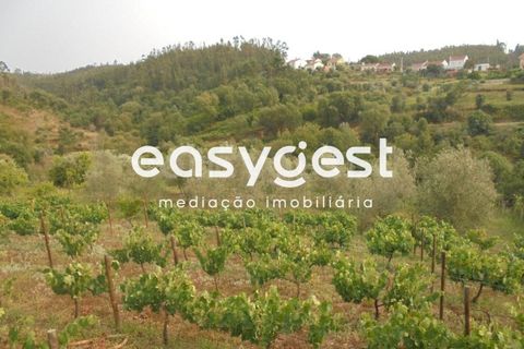 Villa a Abrantes, Santarem, Abrantes - € 41.000 | Ref: TM92866 - foto 8