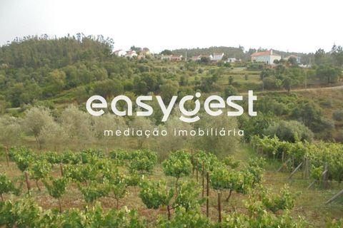 Villa a Abrantes, Santarem, Abrantes - € 41.000 | Ref: TM92866 - foto 10