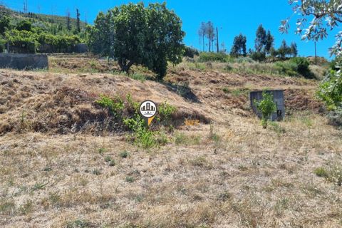 Villa a Oleiros, Castelo Branco, Oleiros - € 72.500 | Ref: 2112 - foto 14