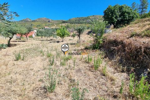 Villa a Oleiros, Castelo Branco, Oleiros - € 72.500 | Ref: 2112 - foto 16