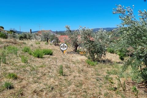 Villa a Oleiros, Castelo Branco, Oleiros - € 72.500 | Ref: 2112 - foto 26