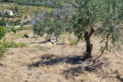 Villa a Oleiros, Castelo Branco, Oleiros - € 72.500 | Ref: 2112 - foto 27