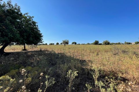 Lejlighed i Modica, Ragusa, Modica - € 160.000 | Ref: 11263 - foto 7