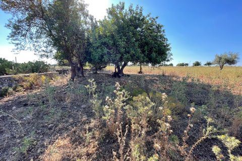 Lejlighed i Modica, Ragusa, Modica - € 160.000 | Ref: 11263 - foto 8