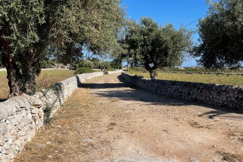 Lejlighed i Modica, Ragusa, Modica - € 160.000 | Ref: 11263 - foto 24