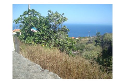 Helårsgrund i Gaula, Madeira, Gaula - € 55.000 | Ref: IK362SC - foto 2