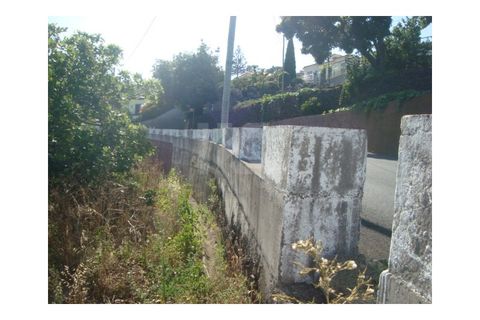 Helårsgrund i Gaula, Madeira, Gaula - € 55.000 | Ref: IK362SC - foto 3