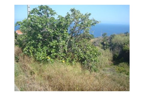 Helårsgrund i Gaula, Madeira, Gaula - € 55.000 | Ref: IK362SC - foto 4