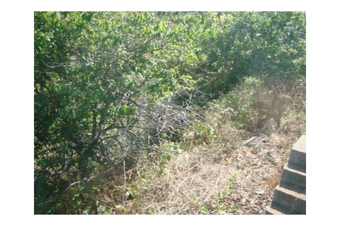 Helårsgrund i Gaula, Madeira, Gaula - € 55.000 | Ref: IK362SC - foto 6
