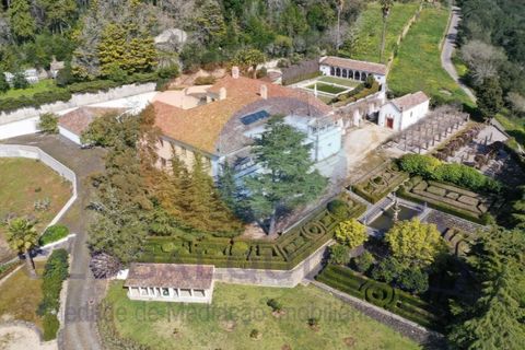 Farm i Mafra, Lisbon, Mafra - € 8.500.000 | Ref: QUI2242 - foto 3