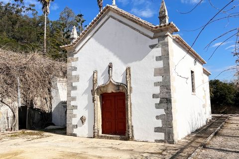 Farm i Mafra, Lisbon, Mafra - € 8.500.000 | Ref: QUI2242 - foto 7
