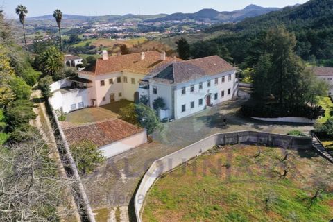 Farm i Mafra, Lisbon, Mafra - € 8.500.000 | Ref: QUI2242 - foto 8
