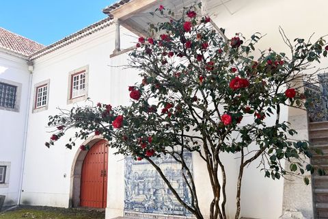 Farm i Mafra, Lisbon, Mafra - € 8.500.000 | Ref: QUI2242 - foto 9