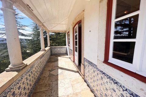 Farm i Mafra, Lisbon, Mafra - € 8.500.000 | Ref: QUI2242 - foto 11