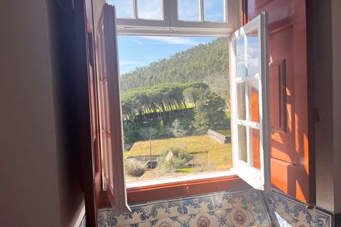 Farm i Mafra, Lisbon, Mafra - € 8.500.000 | Ref: QUI2242 - foto 19