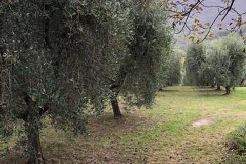 Landejendom i Folignano, Ascoli Piceno, Folignano - € 180.000 | Ref: VS014 - foto 2