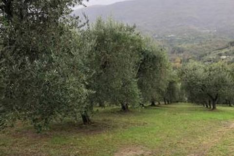 Landejendom i Folignano, Ascoli Piceno, Folignano - € 180.000 | Ref: VS014 - foto 3