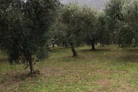 Landejendom i Folignano, Ascoli Piceno, Folignano - € 180.000 | Ref: VS014 - foto 4