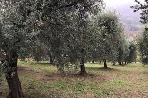 Landejendom i Folignano, Ascoli Piceno, Folignano - € 180.000 | Ref: VS014 - foto 5