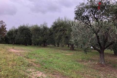 Landejendom i Folignano, Ascoli Piceno, Folignano - € 180.000 | Ref: VS014 - foto 10