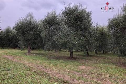 Landejendom i Folignano, Ascoli Piceno, Folignano - € 180.000 | Ref: VS014 - foto 11