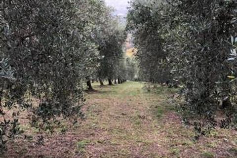 Landejendom i Folignano, Ascoli Piceno, Folignano - € 180.000 | Ref: VS014 - foto 13