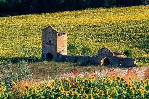 Leilighet i Massignano, Ascoli Piceno, Massignano - € 100 000 | Ref: VS129 - foto 11