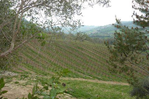 Helårsgrund i Ripatransone, Ascoli Piceno, Ripatransone - € 400.000 | Ref: Z1030 - foto 4