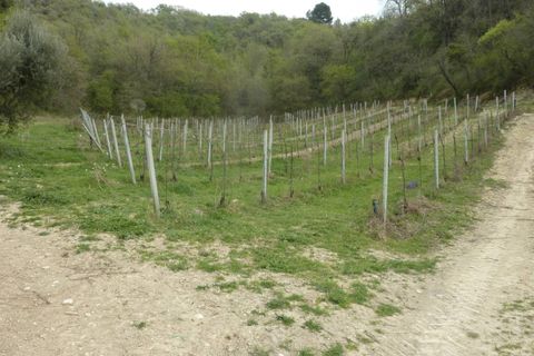 Helårsgrund i Ripatransone, Ascoli Piceno, Ripatransone - € 400.000 | Ref: Z1030 - foto 5