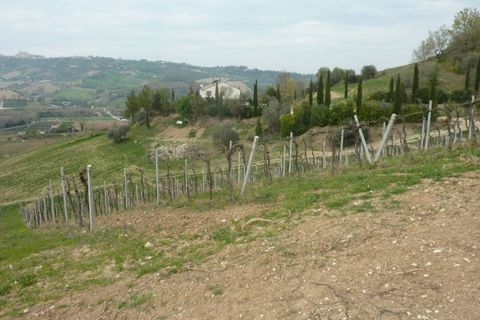 Helårsgrund i Ripatransone, Ascoli Piceno, Ripatransone - € 400.000 | Ref: Z1030 - foto 7
