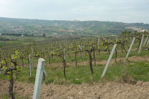 Helårsgrund i Ripatransone, Ascoli Piceno, Ripatransone - € 400.000 | Ref: Z1030 - foto 9